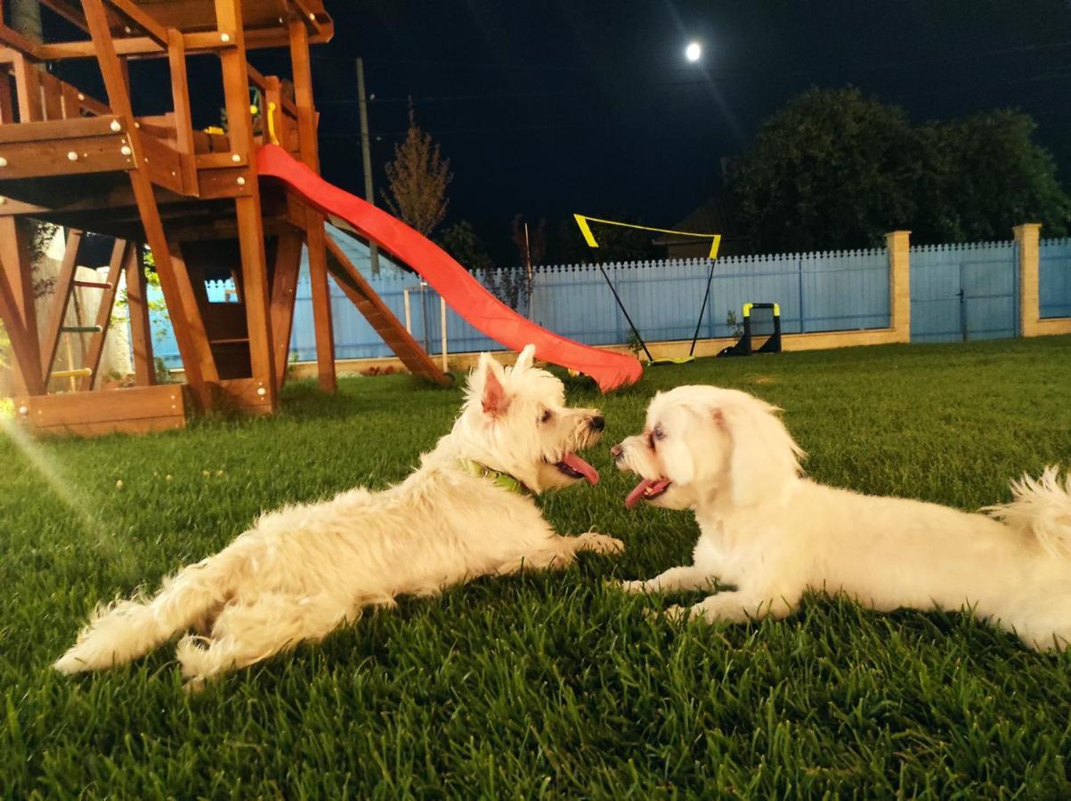 Pensiunea Cuplu Calator Jurilovca Dış mekan fotoğraf